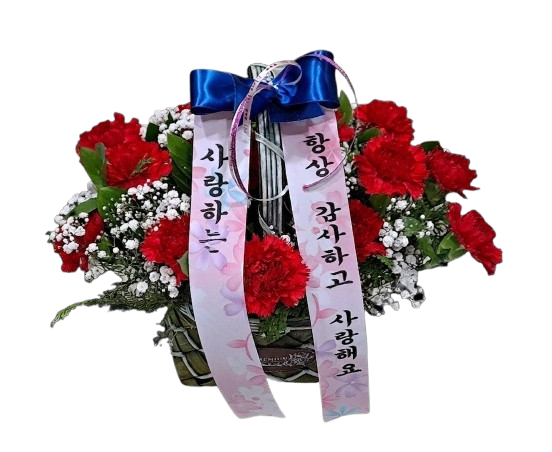 [바구니-80]카네이션 바구니-레드